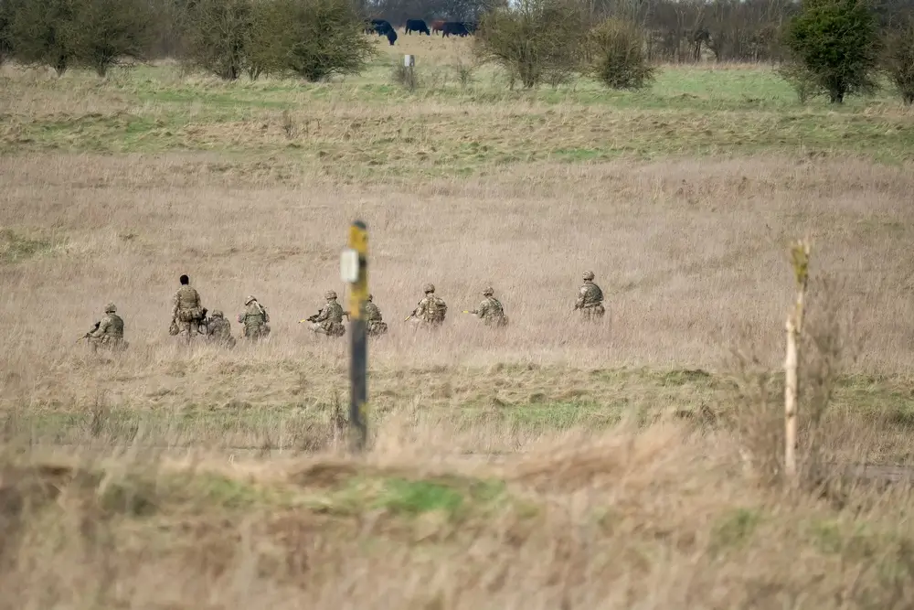 NZ army soldiers in camouflage uniforms move through tall grass during a field training exercise.